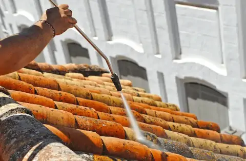 Nettoyage de toitures - Saint-Forgeux-Lespinasse